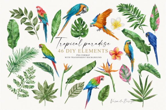 Download Watercolor Tropical Clipart - Tropical clipart Collection