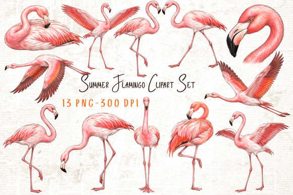 Download Summer Flamingo Clipart Set PNG - Clipart set png Collection